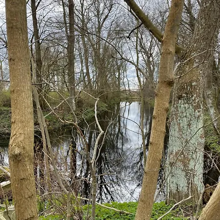 Daire Moderswarft Koldenbuttel