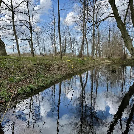 Апартаменты Moderswarft *