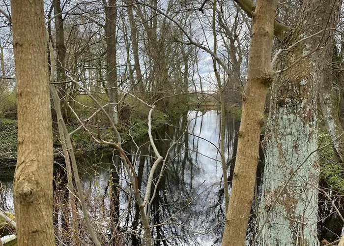 Appartamento Moderswarft Koldenbuttel